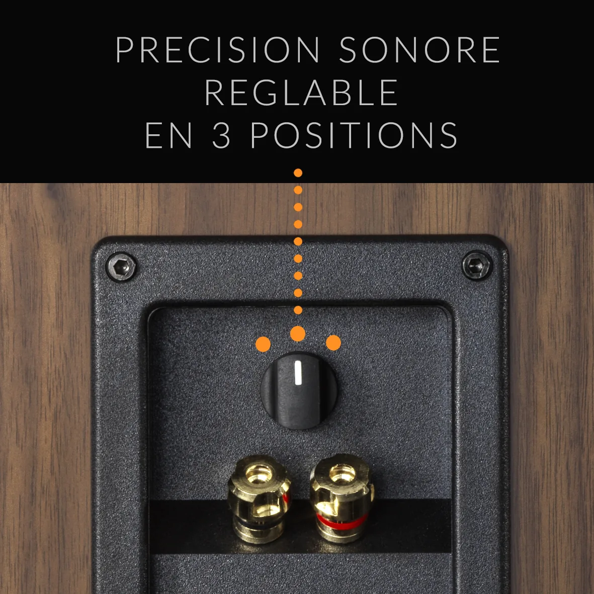 Atohm Sirocco 1.24 — sélecteur de réglage du tweeter à 3 positions, au-dessus des bornes de raccordement
