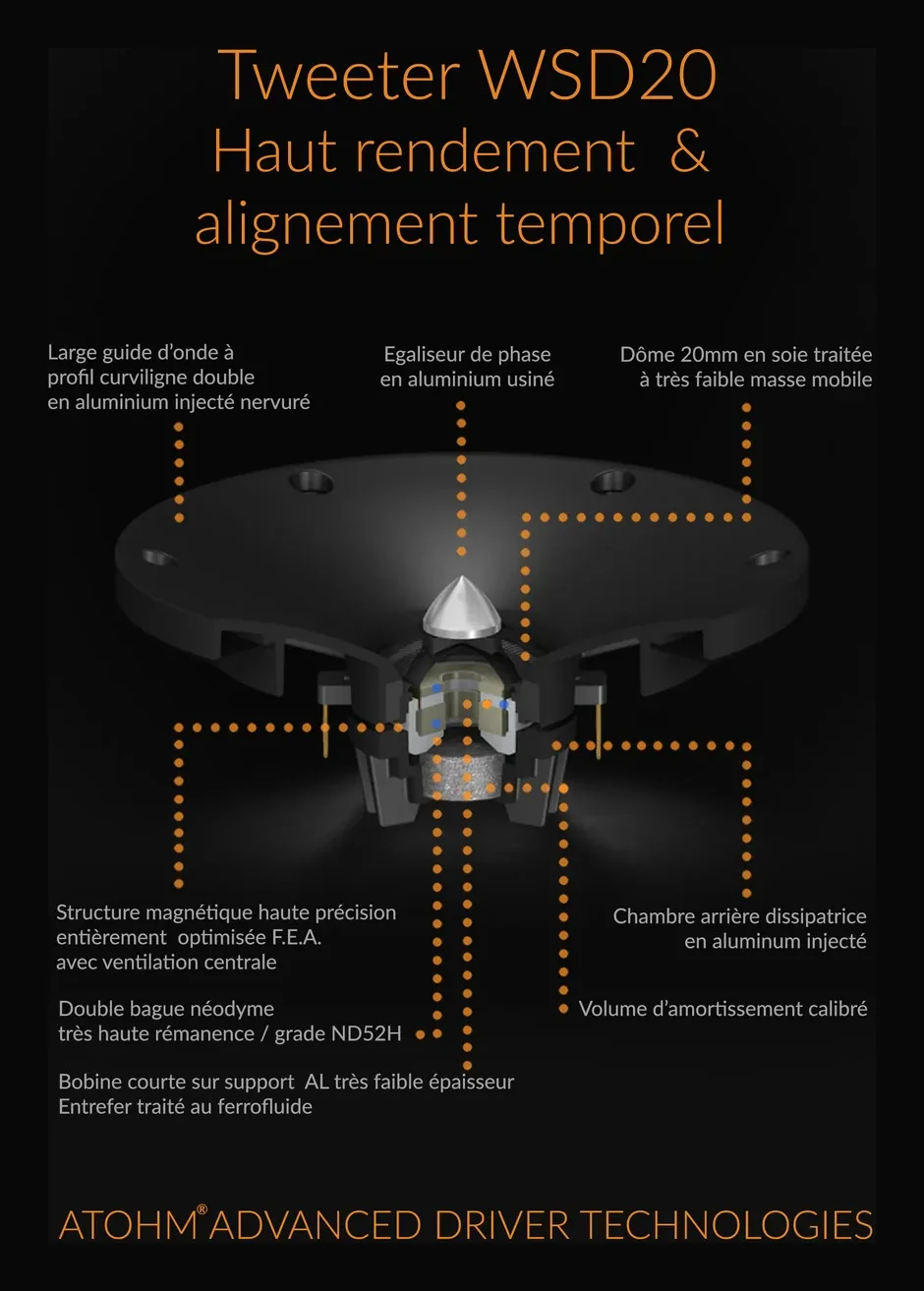 Atohm WSD20DND04F — vue en coupe annotée du tweeter WSD20 : dôme en soie de 20 mm, guide d’onde en aluminium, égaliseur de phase, double bague néodyme, chambre arrière amortie