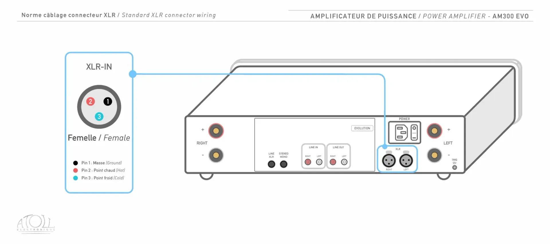 Câblage XLR de l'Atoll AM300 Evolution : brochage des prises XLR (masse, point chaud, point froid)