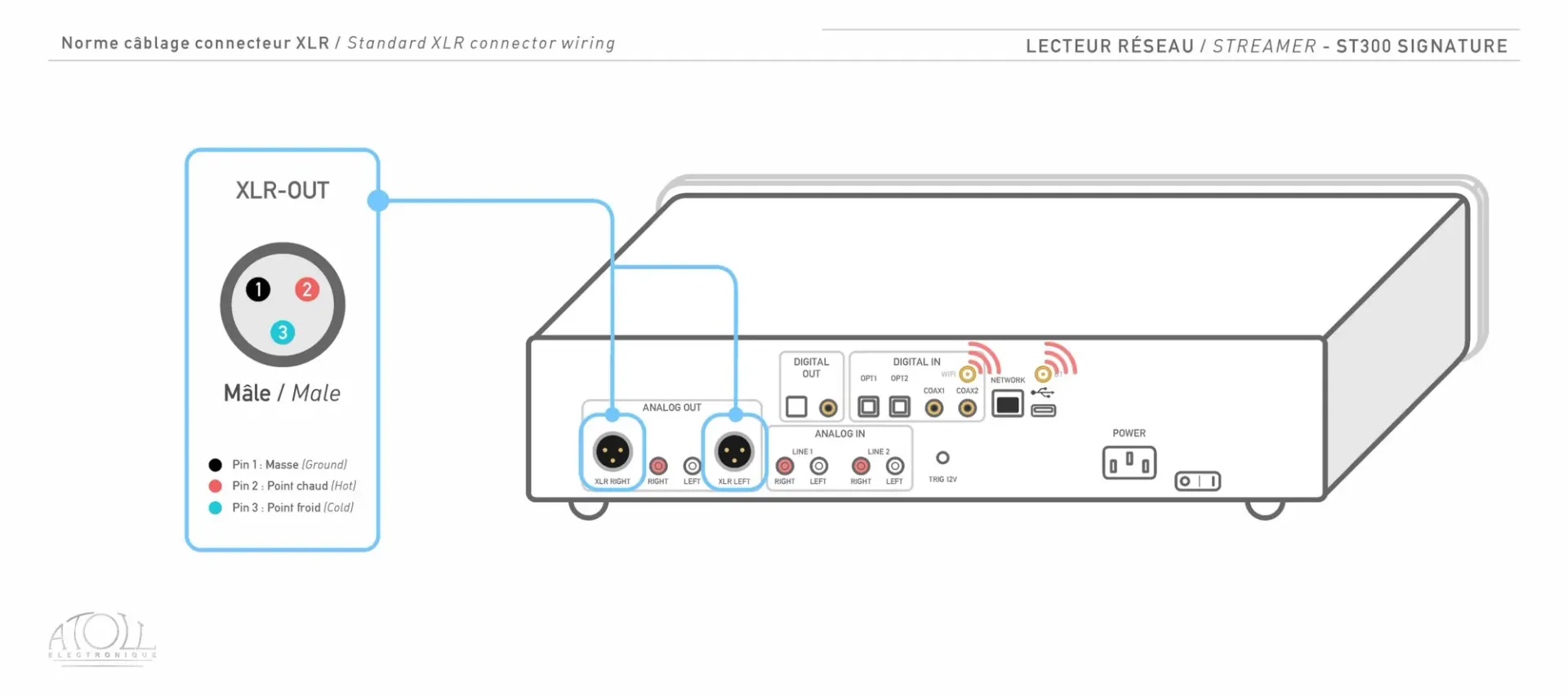 Câblage XLR de l'Atoll ST300 Signature : brochage des prises XLR (masse, point chaud, point froid)